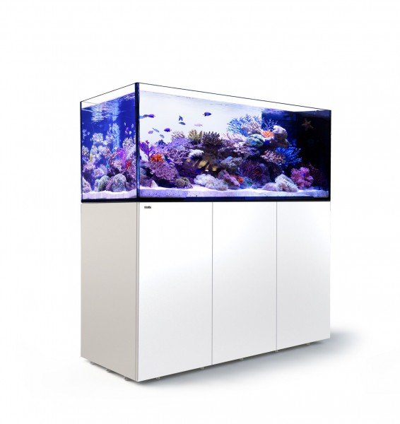 REEFER PENINSULA  G2+ 500 BIANCO
