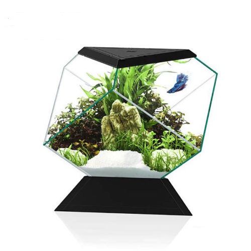 NEXUS PURE 5C BETTA NERO