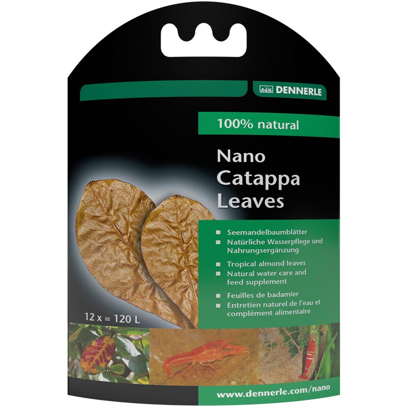 NANO CATAPPA LEAVES