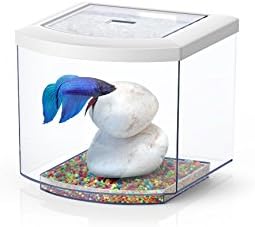 BETTACUB BIANCO