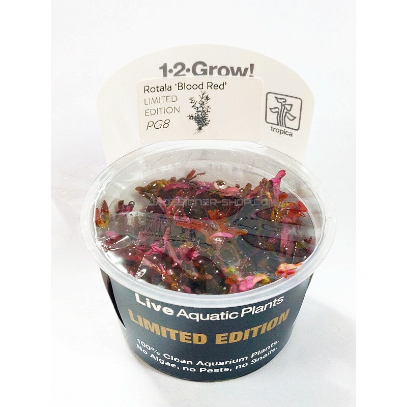 ROTALA BLOOD RED - LIMITED EDITION