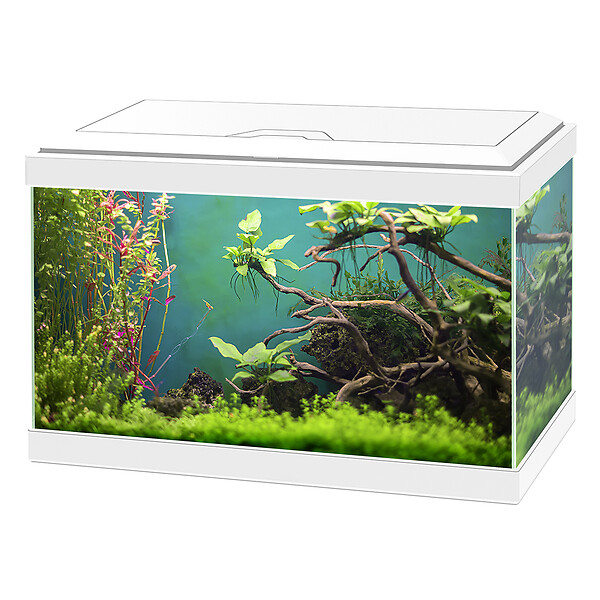 AQUA 20 BIANCO