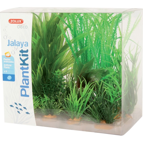 PLANTKIT JALAYA 1