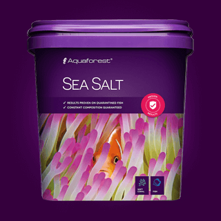 SEA SALT Kg.5