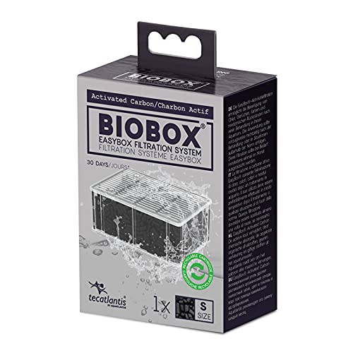 EASYBOX CARBONE ATTIVO S
