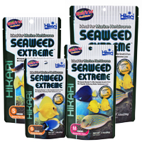 SEAWED EXTREME 100g