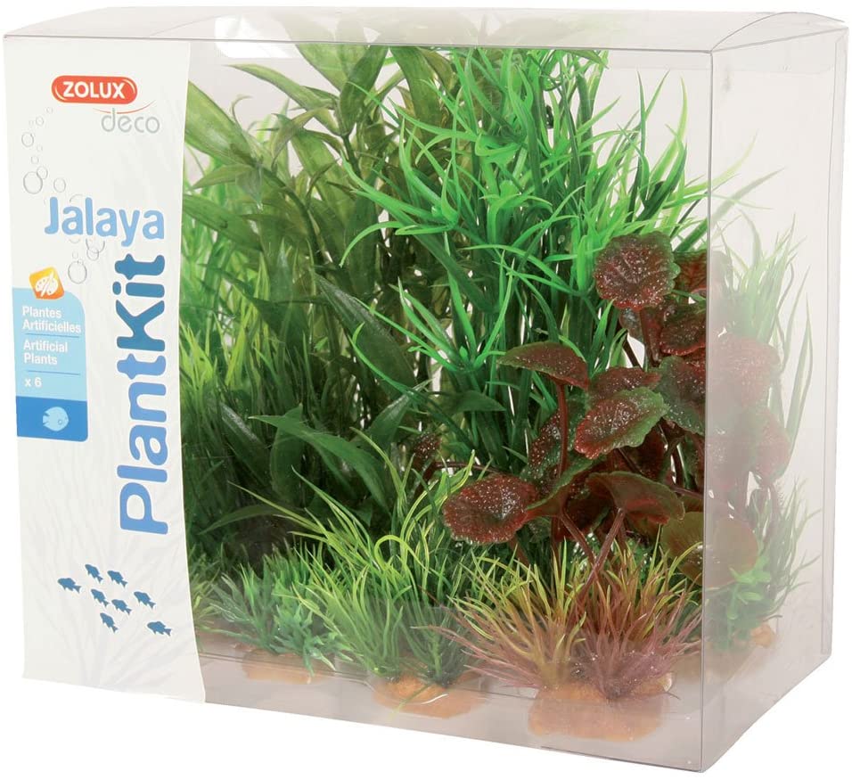 PLANTKIT JALAYA 2
