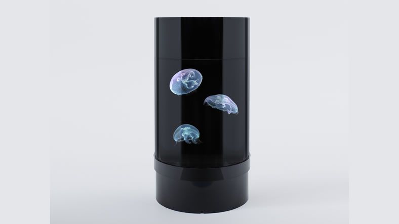 JELLYFISH CYLINDER NANO