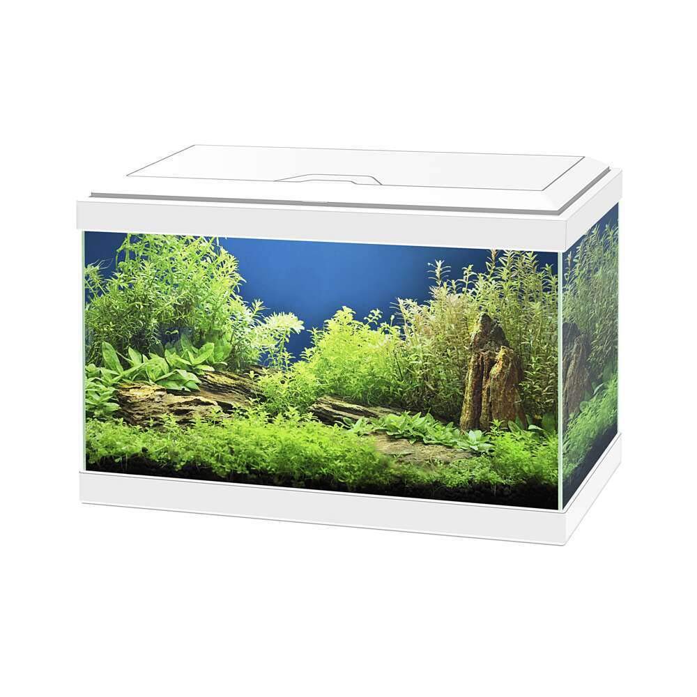 AQUA 20 WHITE WITH LIGHT