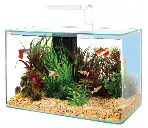 AQUA CLEAR 40 BIANCO 20 Litri