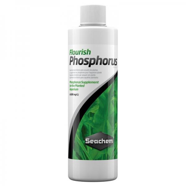 PHOSPHORUS 250ml