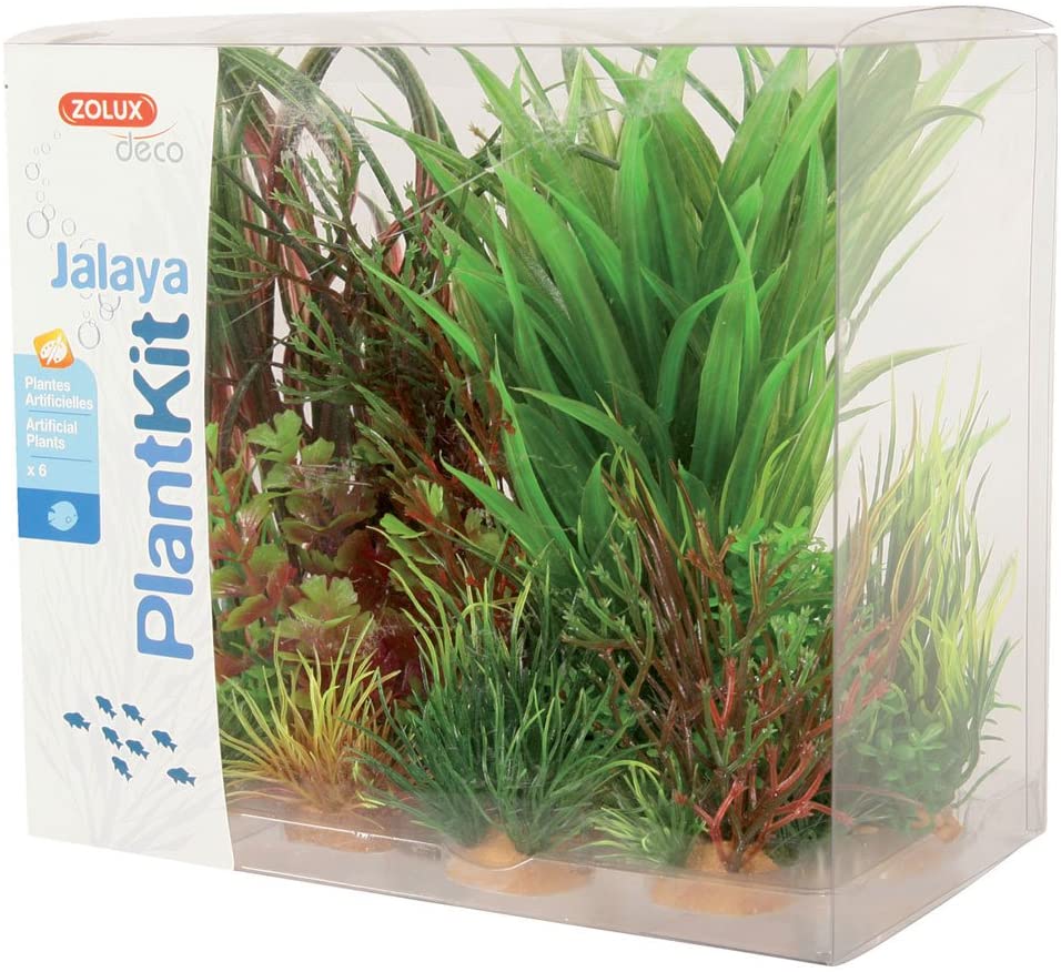 PLANTKIT JALAYA 3