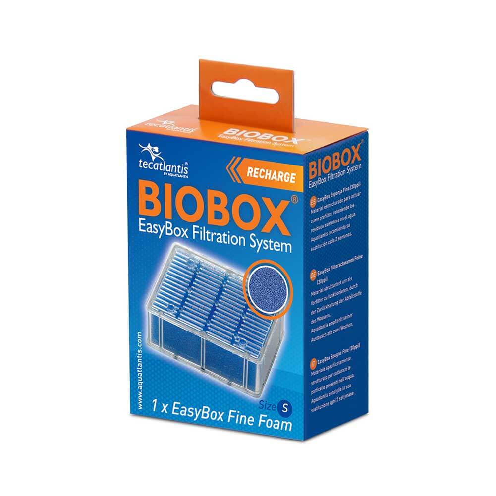 EASYBOX SPUGNA FINE S