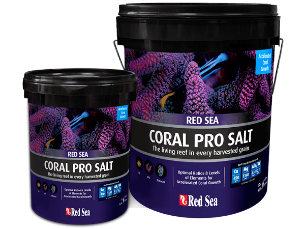 CORAL PRO SALT Kg.22 Sale acquario marino