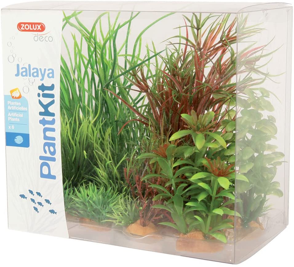 PLANTKIT JALAYA 4