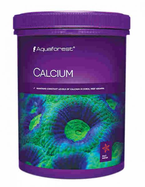 CALCIUM 850g