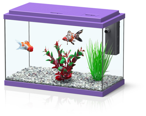 FUNNYFISH 40 VIOLA
