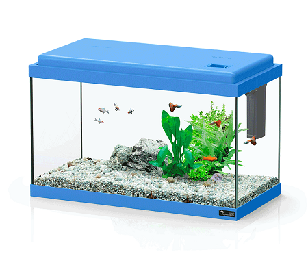 FUNNYFISH 40 AZZURRO 