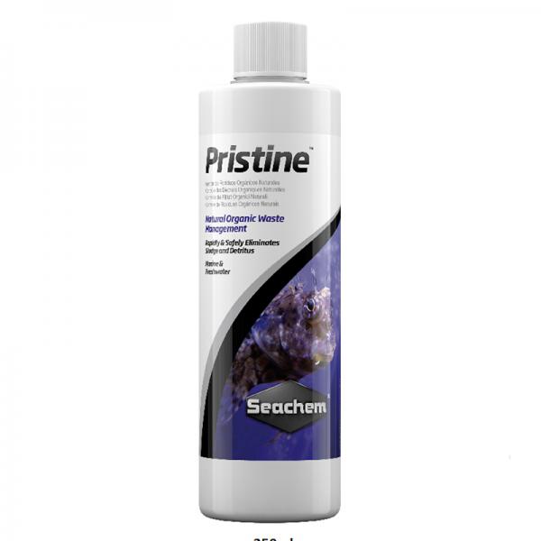 PRISTINE 100ml