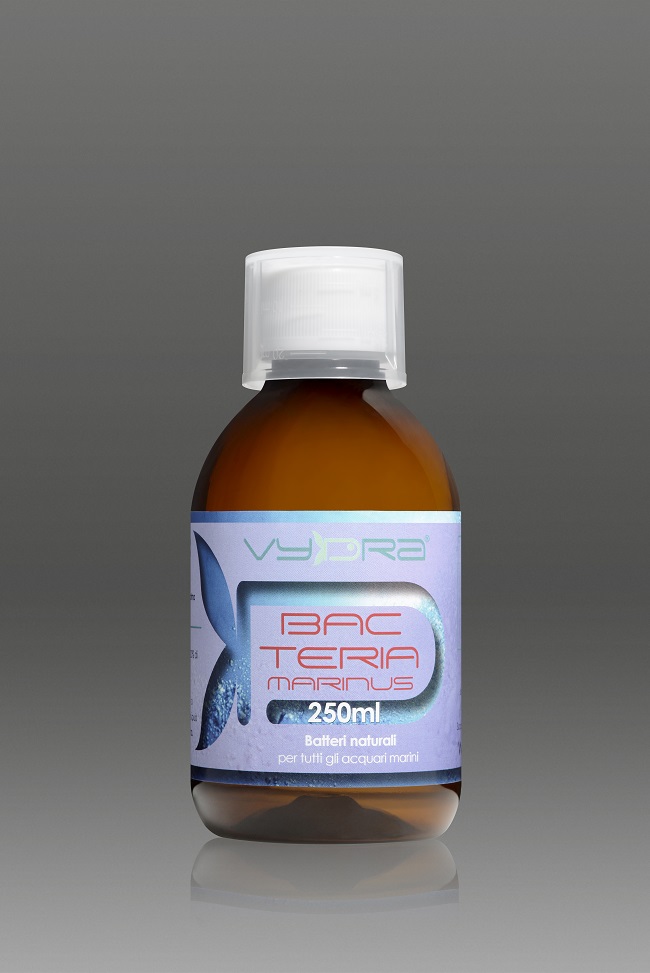 BACTERIA 250ml