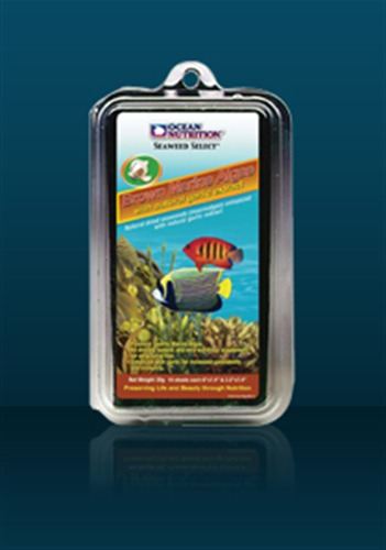BROWN MARINE ALGAE 12g