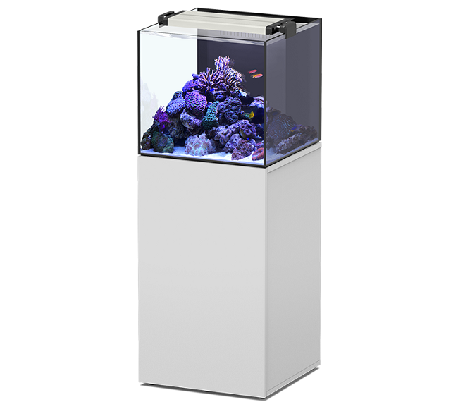 AQUAVIEW 50 CON SUPPORTO BIANCO