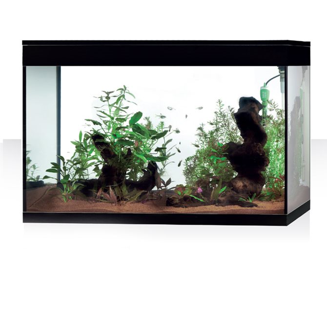 PURE XL HC - 130 Litri NERO