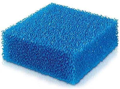 JUWEL SPUGNA COMPACT GROSSOLANA 