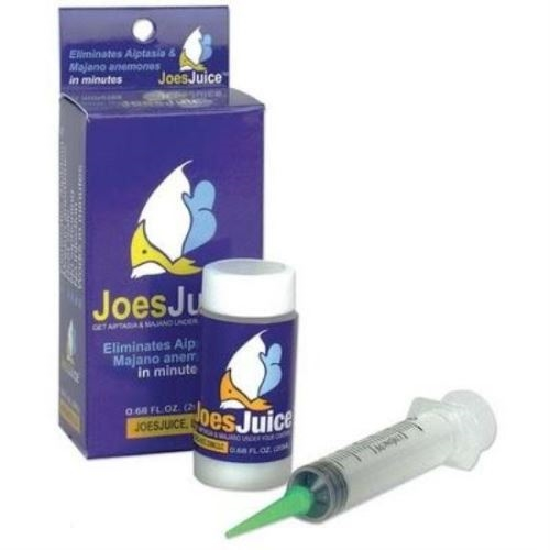 JOES JUICE CONTRO AIPTASIE & MAIANO