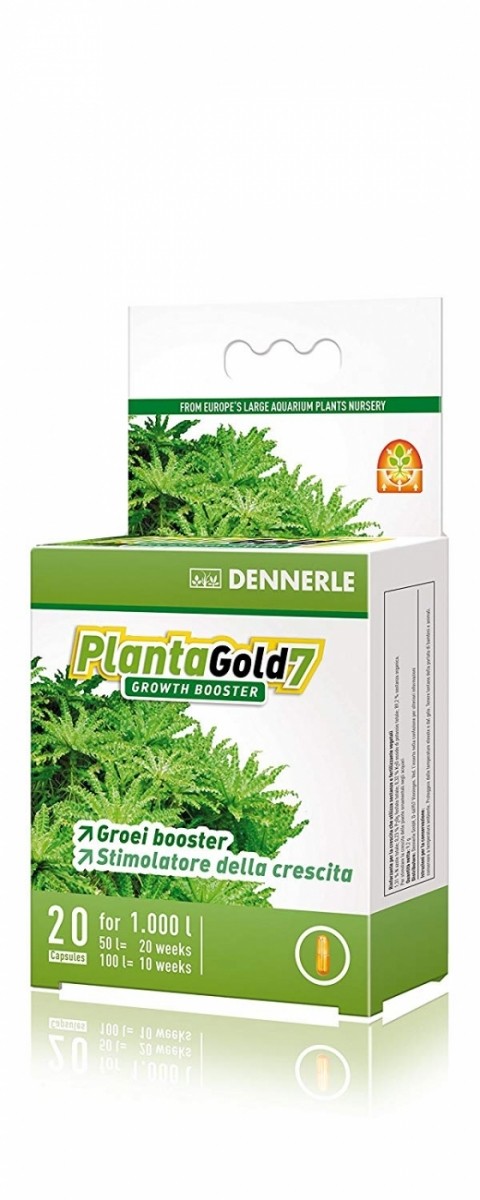 PLANTAGOLD7 - 20pz.