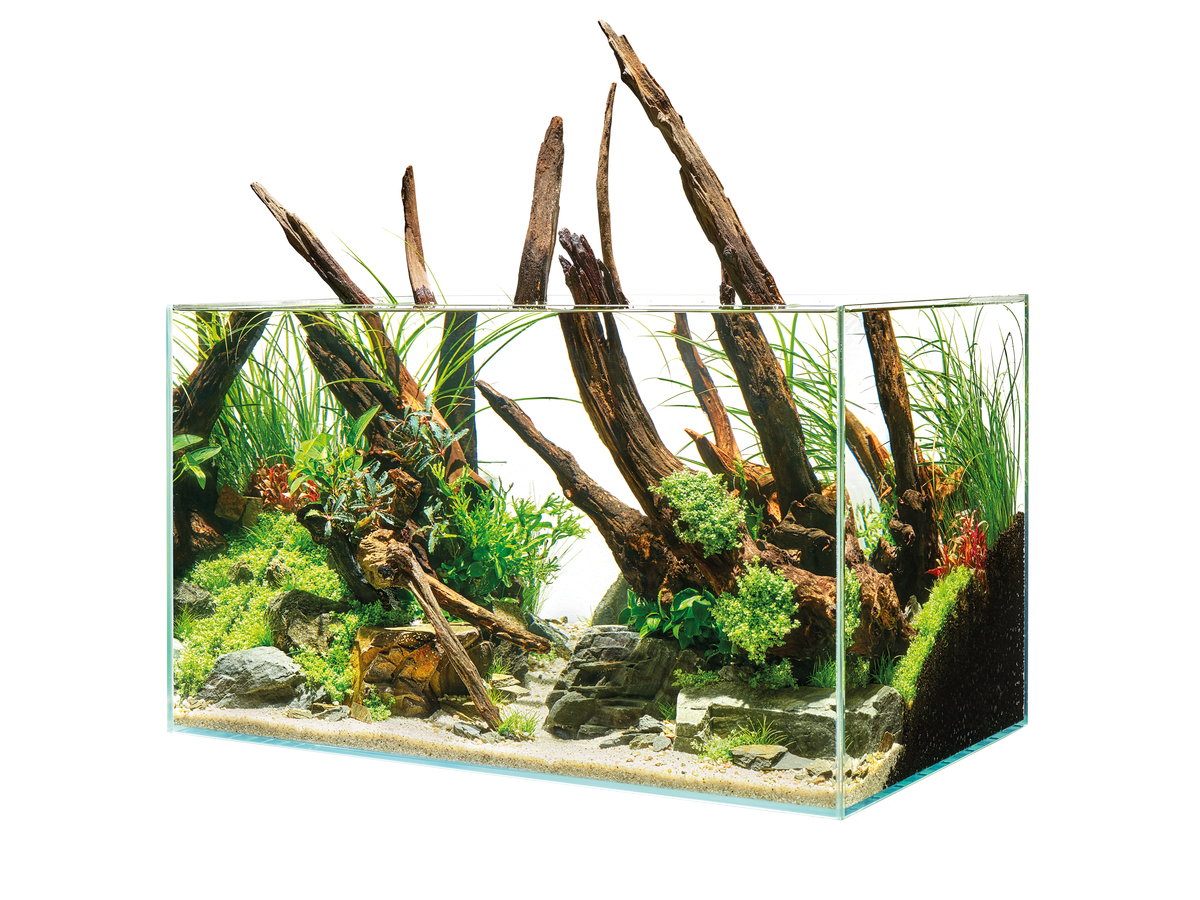 SCAPERLINE 100 AQUARIUM