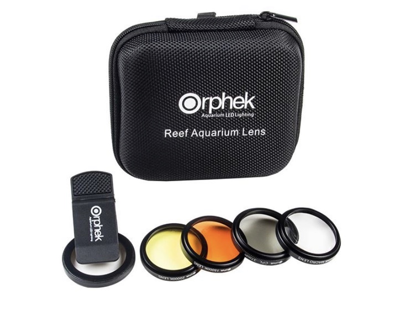 KIT LENTI CORAL REEF