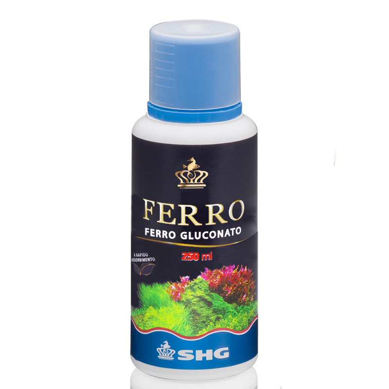 FERRO GLUCONATO 250ml