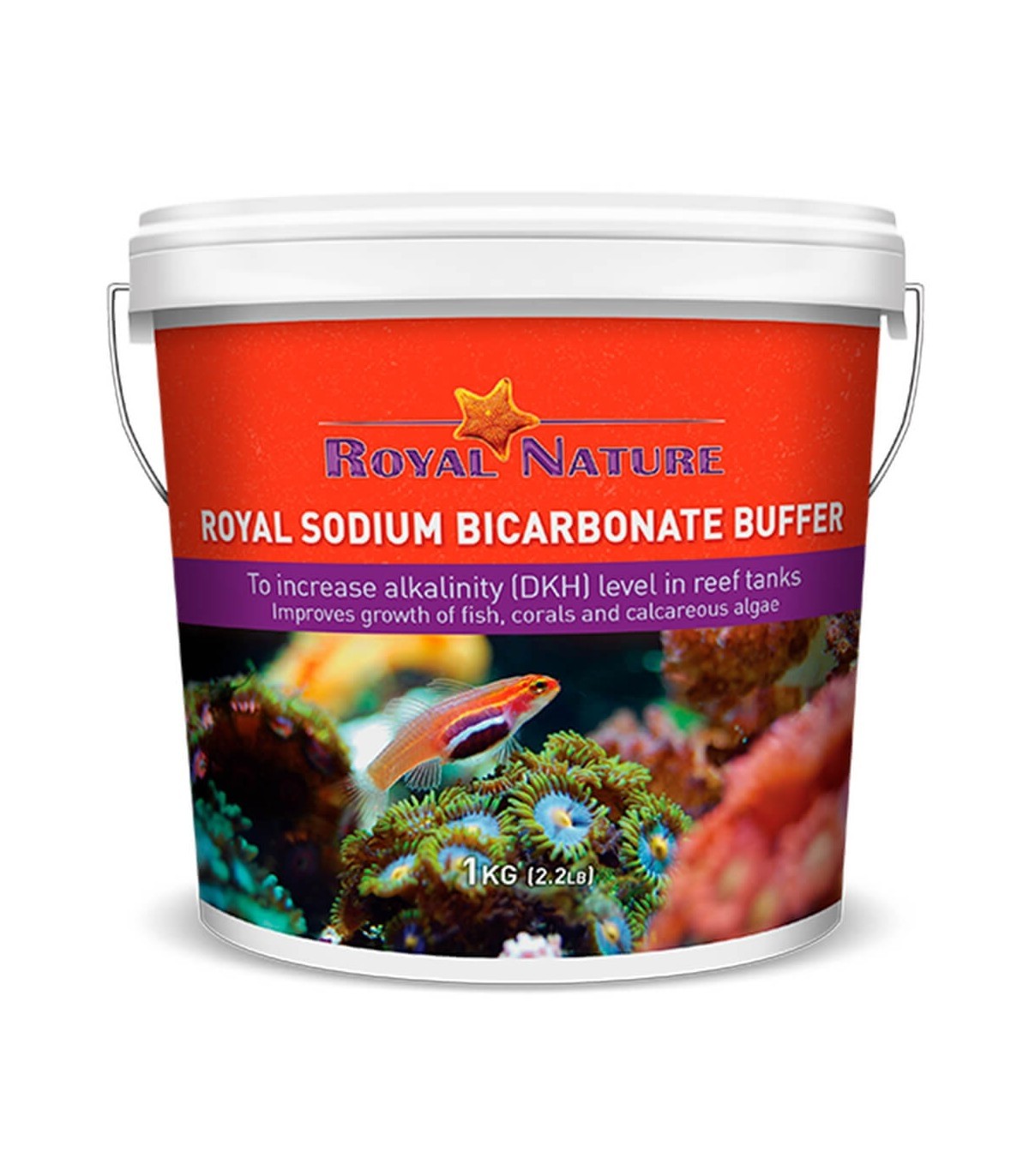SODIUM BICARBONATE BUFFER Kg.1
