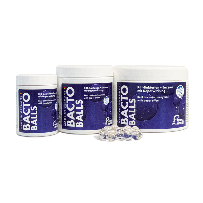 BACTO REEF BALLS MARINE 100ml