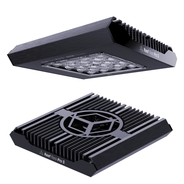 REEF FLARE PRO S NERO  