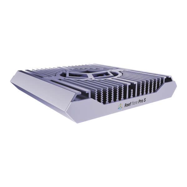 REEF FLARE PRO S BIANCO