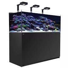 REEFER G2+ 3XL 900 DELUXE NERO