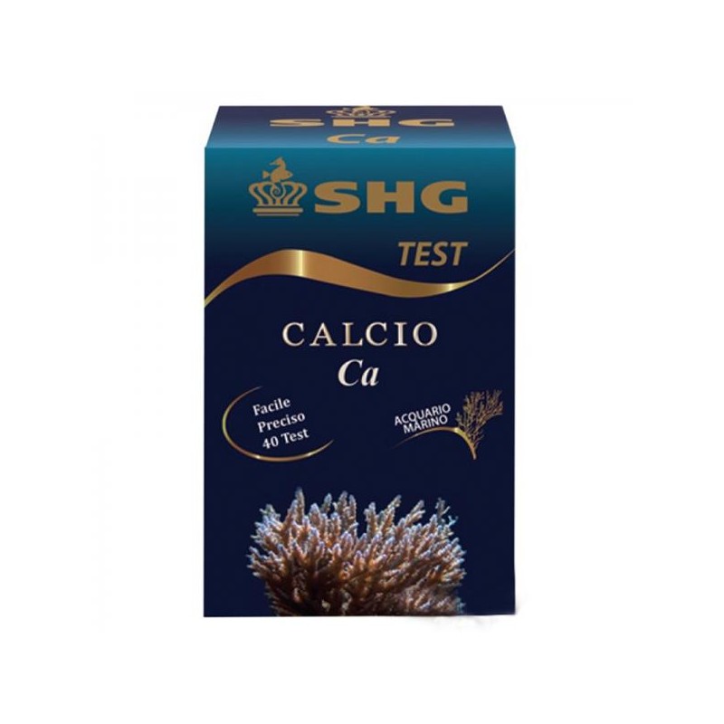 TEST CALCIO ACQUARIO MARINO