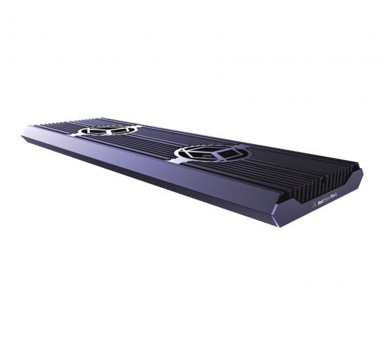REEF FLARE PRO L NERO