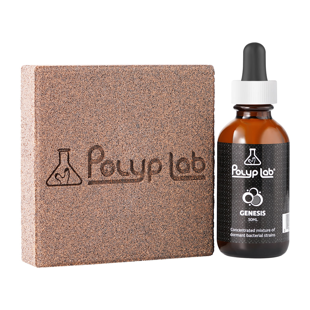 GENESIS ROCK 2 pack + 50ml Genesis