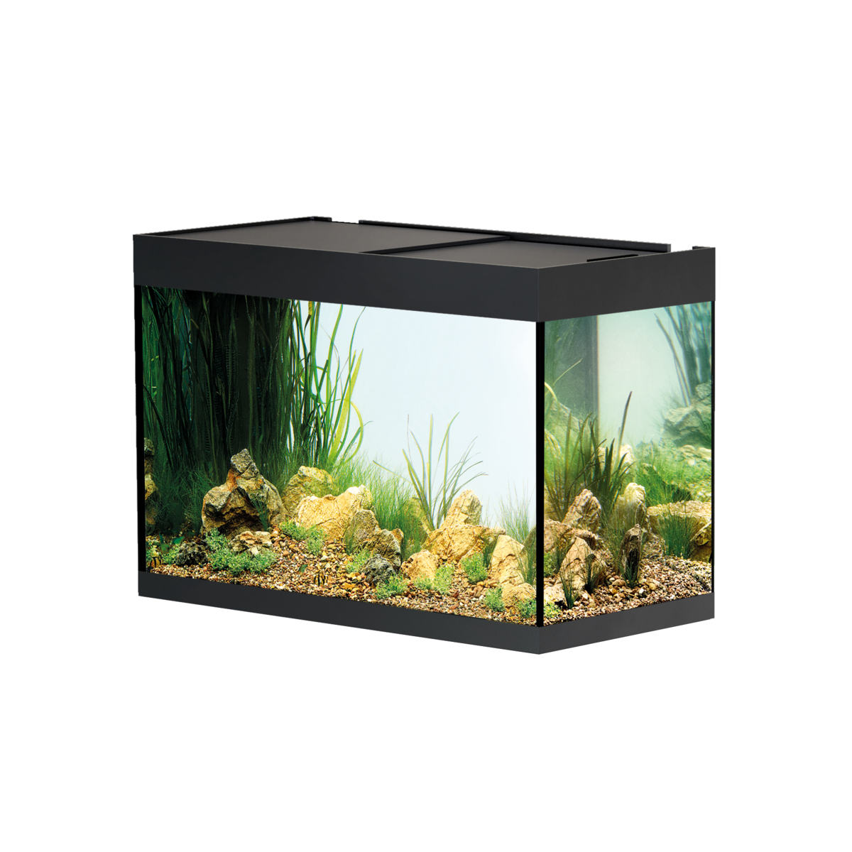 ACQUARIO OASE STYLELINE 175 NERO - OASE - ACQUARI ACQUA DOLCE - Tropical  Nature Acquarologia