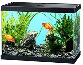 CIANO AQUA 15 - 13 Litri