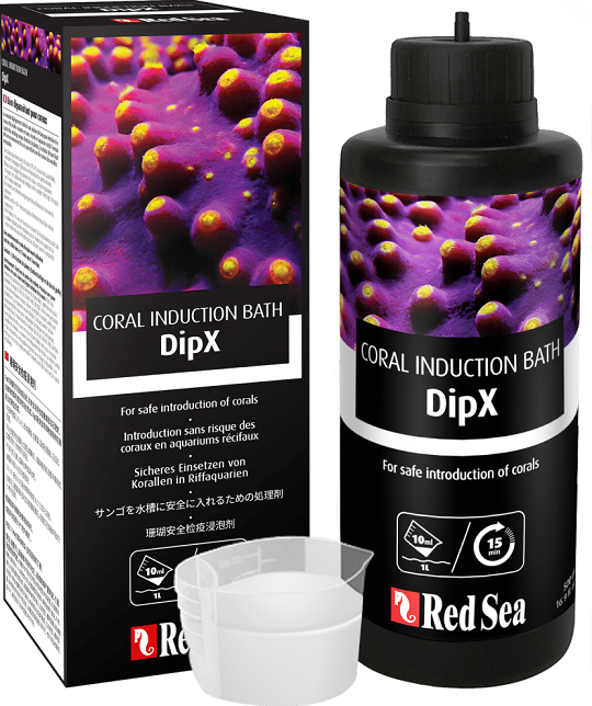 DIPX 250ml