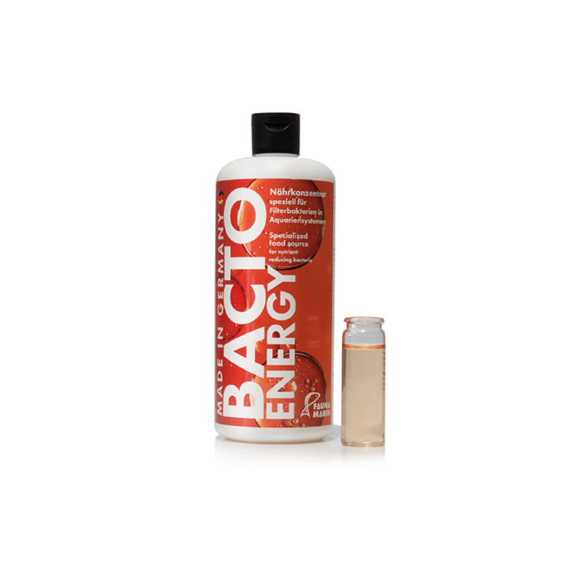BACTO ENERGY 250ml