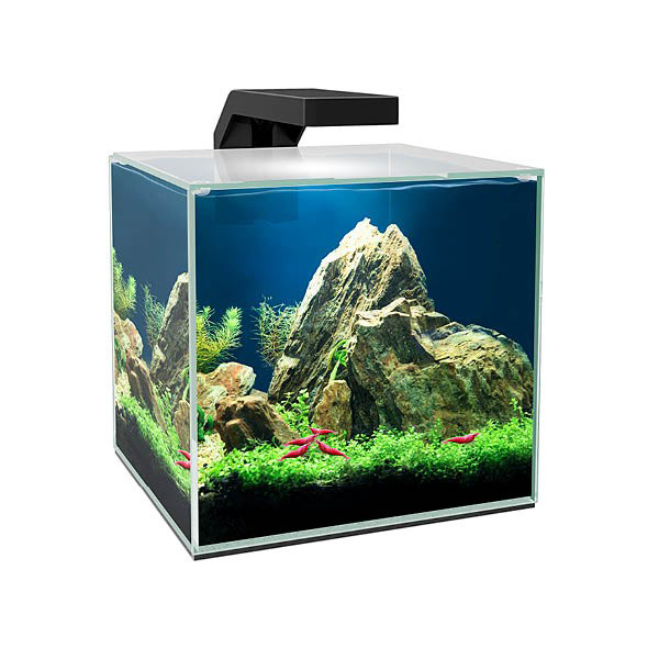 CIANO CUBE 10 LED