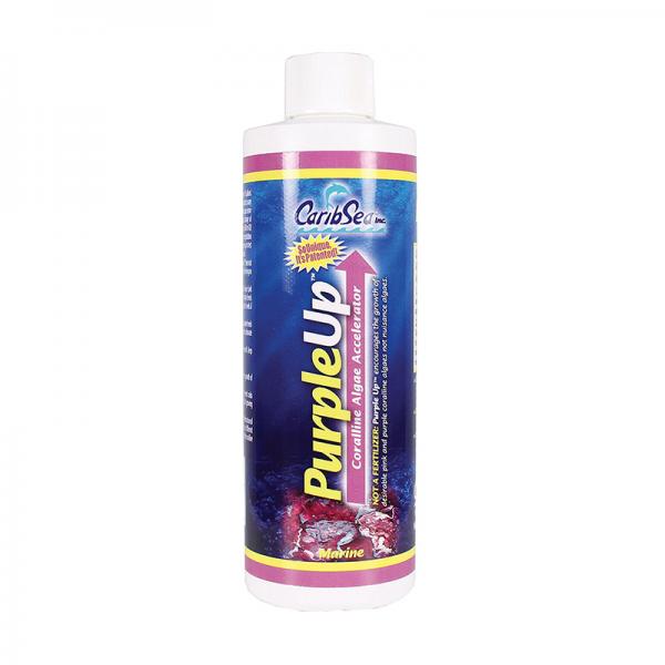 PURPLE UP 237ml