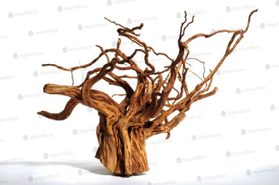 RED MOORWOOD 25-40cm