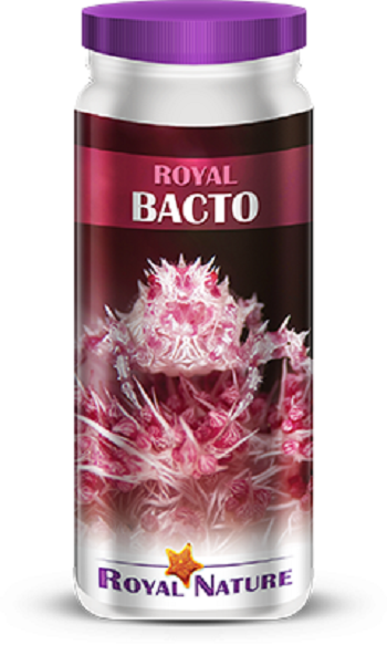 ROYAL BACTO 500ml