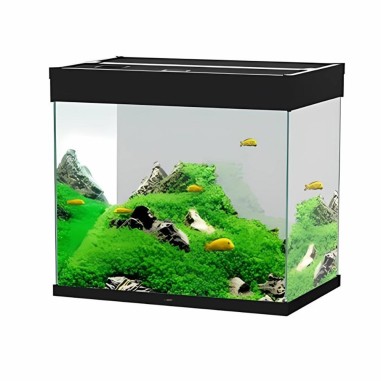 CIANO EMOTIONS NATURE PRO 60 LED BLACK